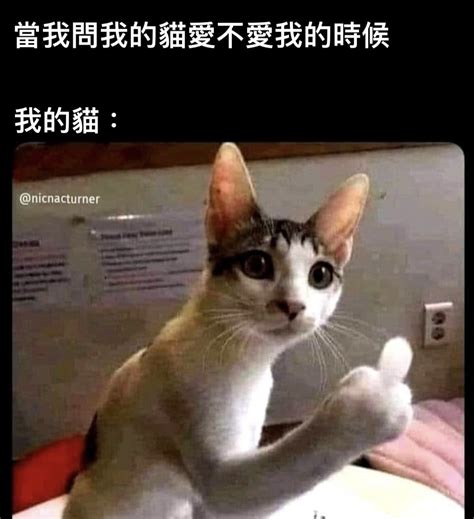 不相信 梗圖